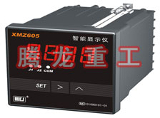 溫度表、數(shù)字顯示儀、濕度表